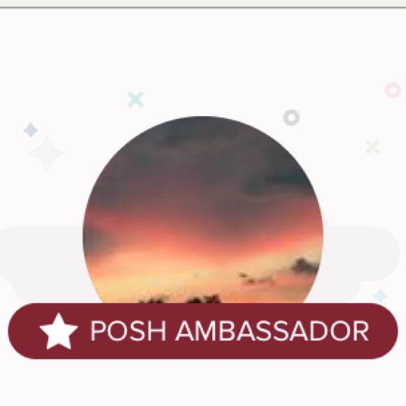 Please Read Before Purchasing Suggested User, Posh Ambassador, 5 Star Rated - Picture 2 of 3